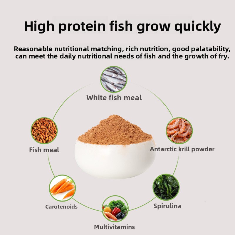 PENISON Powder Baby Fish Food, - Baby Food With Protein review and price
