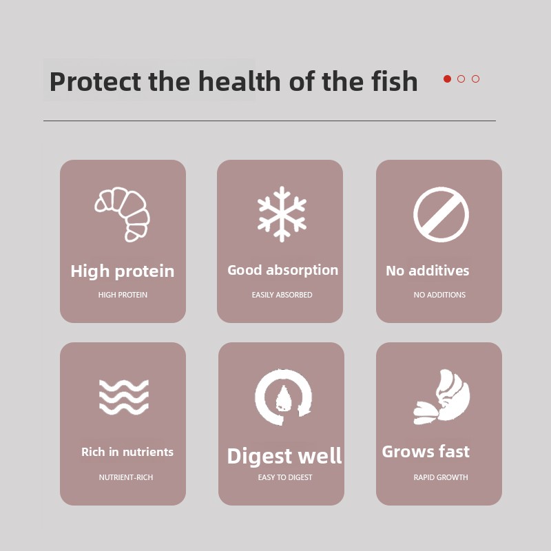 PENISON Powder Baby Fish Food, - Baby Food With Protein review and price