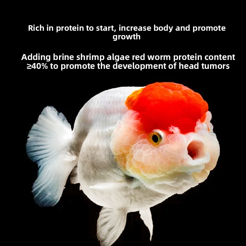 Fish Baby Sinking Goldfish Foo - Baby Food With Protein review and price