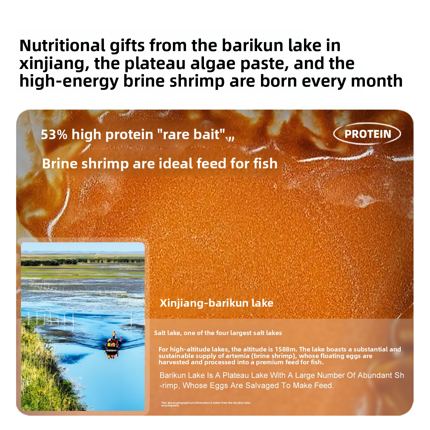 SANKii Decapsulated Brine Shri - Baby Food With Protein review and price