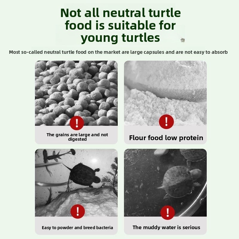 Nai chong Hatchling Turtle Foo - Baby Food With Protein review and price