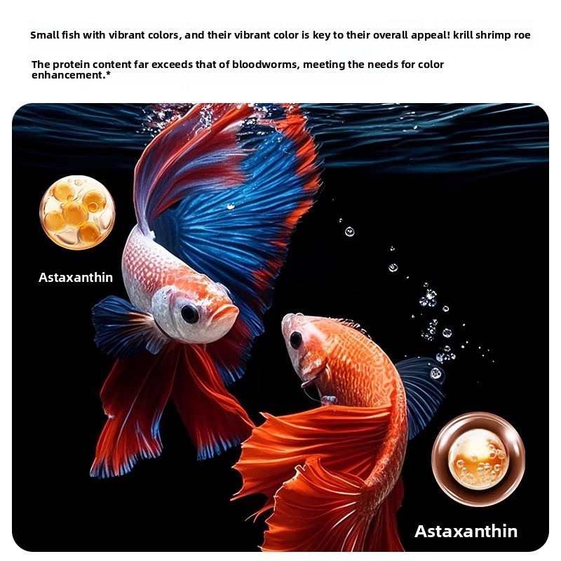 Yee Krill & Baby Shrimp Dry Fo - Baby Food With Protein review and price